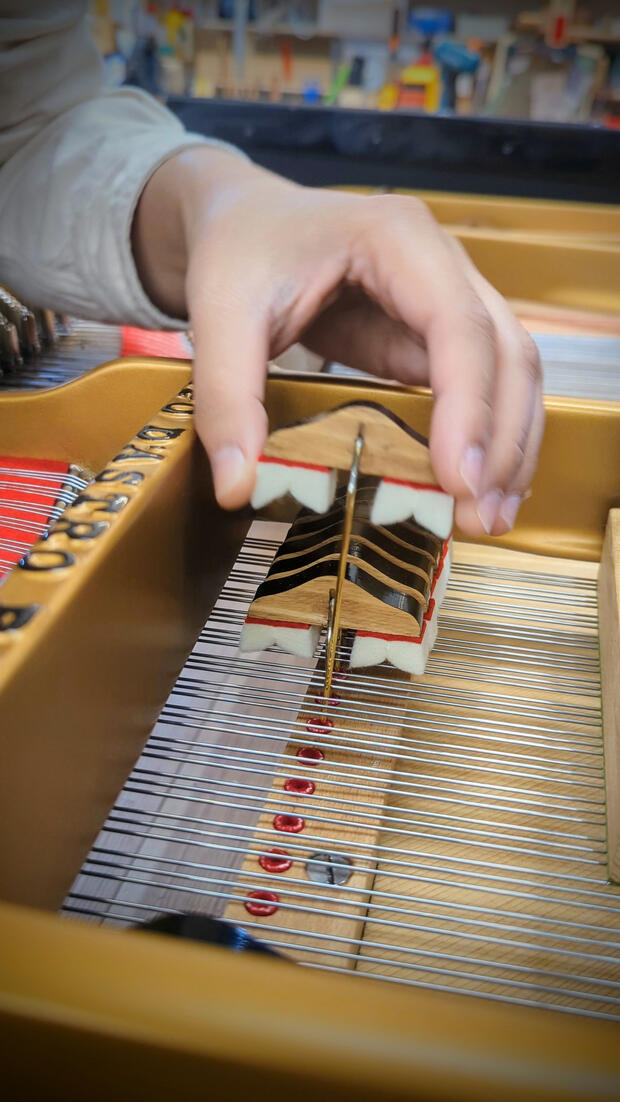 From main action regulation to damper regulation, all parts of the piano action mechanism are calibrated carefully to ensure a smooth and consistent touch across all keys.